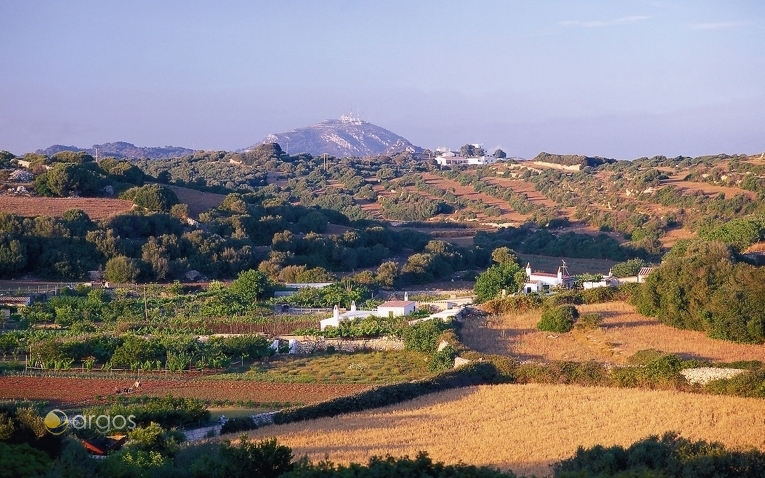 Landschaft der Region Migjorn