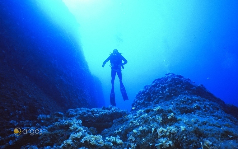 Tauchen vor der Küste von Kalymnos