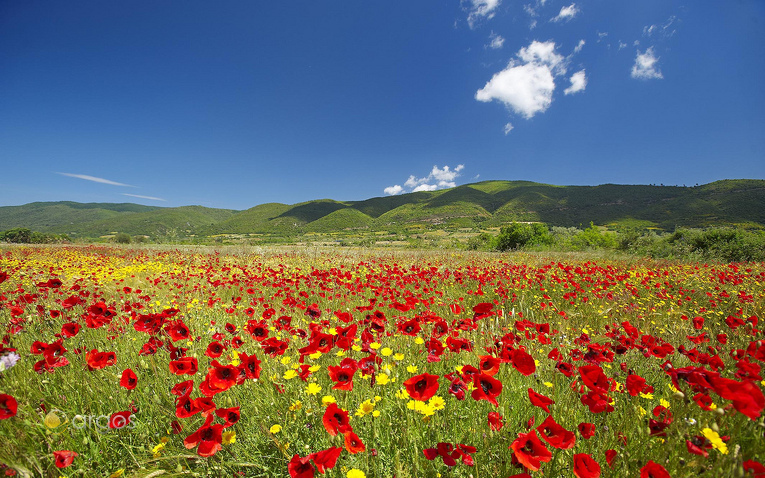 Bergige Region der Insel Chalkidiki