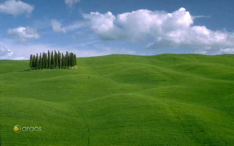 Val D'Orcia