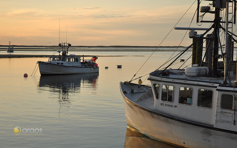 Chatham Fish Pier auf Cape Cod