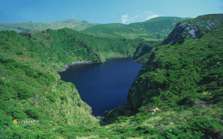 Landschaft der Insel Flores