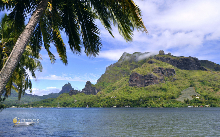 Foto von Polynesien / Südsee