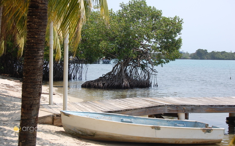 Placencia