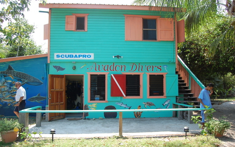 Tauchbasis, Placencia