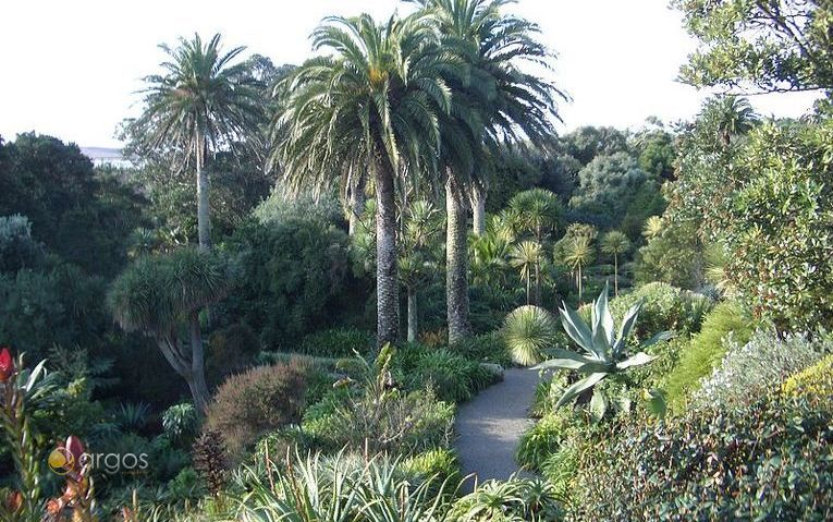 Abby Gardens - Tresco 