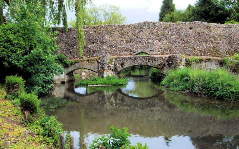 Tresco Abbey Gardens