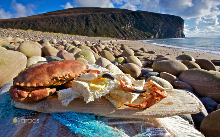 Picnic am Strand