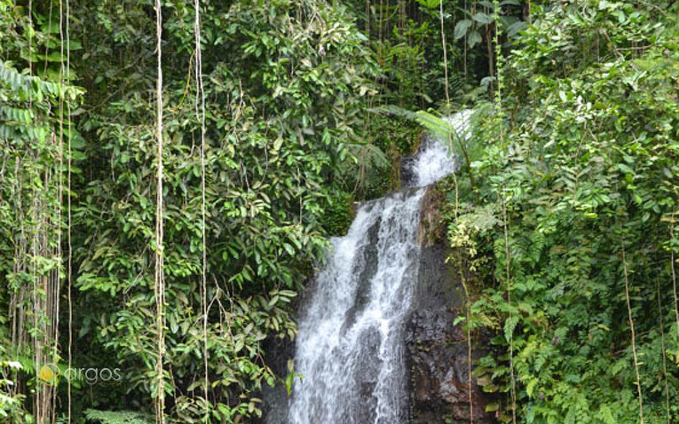 Wasserfälle - Tahiti