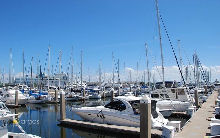 St. Petersburg (Harborage Marina, Bayboro)