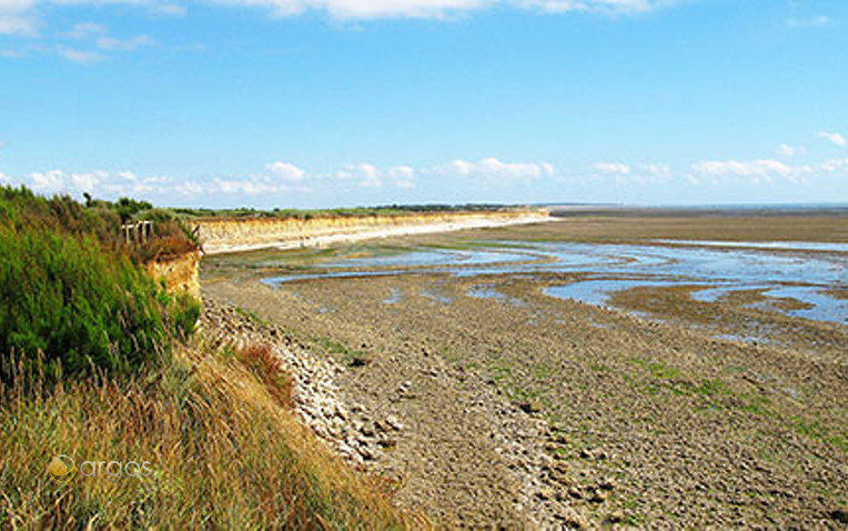 Ile-d'Oléron bei Ebbe