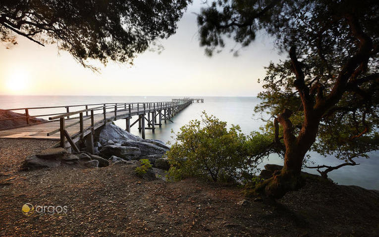 Noirmoutier Estaca de Bois De La Chaize_1