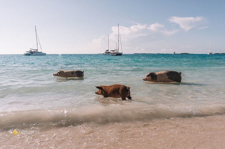 Foto von New Providence und Exuma Cays