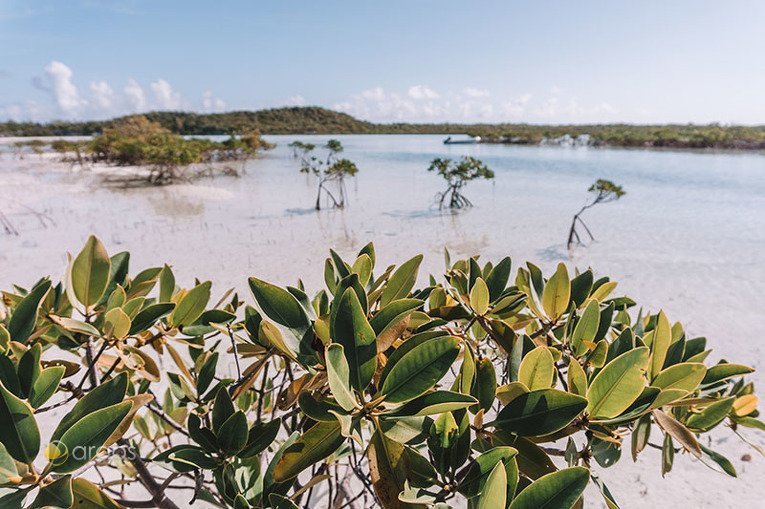 Foto von New Providence und Exuma Cays