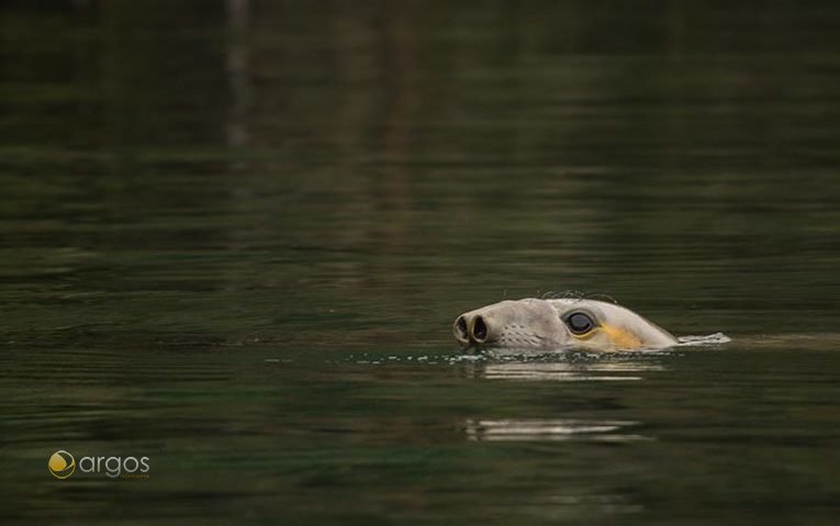 Natur erleben beim Segeln in Patagonien