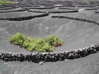 Puerto Calero (Insel Lanzarote)