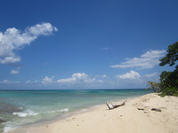 Buck Island (St. Croix)