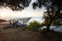 Port de l'Herbaudiere, Noirmoutier