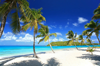 Tobago Cays