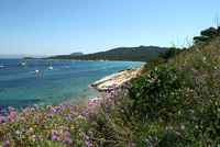 Cap Taillat - Ile de Porquerolles