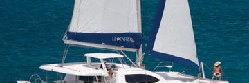 Bild von Leopard 46